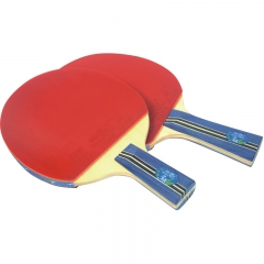 Double Fish Pimples in Ping Pong Racquet